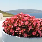 Celini Aparthotel 3*