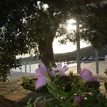 Aparthotel Celini 3*
